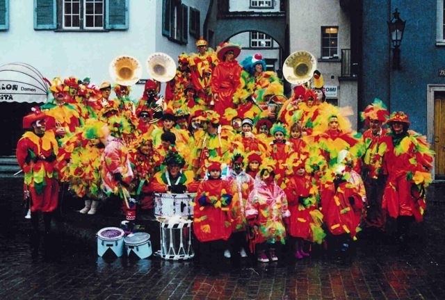 1995_1996_miarsindvoegel1