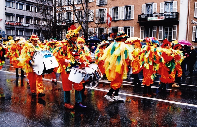 1995_1996_miarsindvoegel3